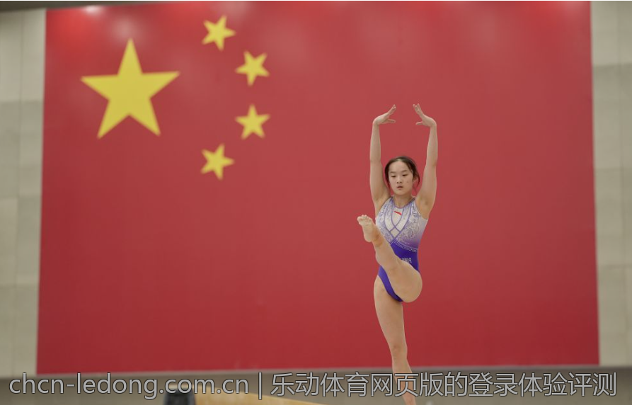 乐动体育网页版的登录体验评测