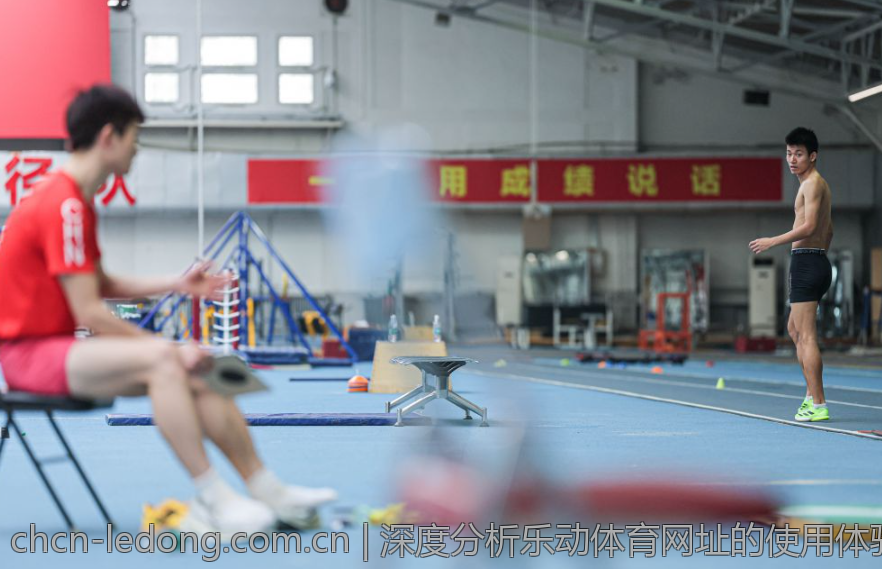 深度分析乐动体育网址的使用体验与反馈